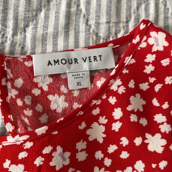 Amour Vert Odilia Crepe Blouse in Jane Red - Picture 6 of 7